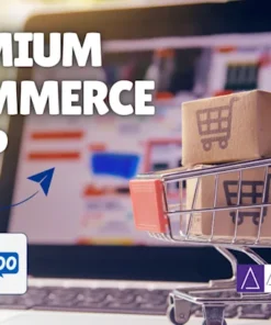 I will build a professional ecommerce shop with wordpress and wocommerce